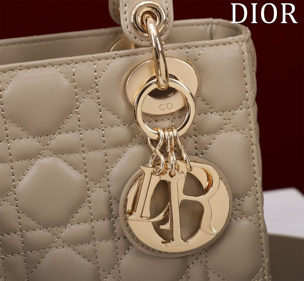 Ezyycart Bags Diorn Luxury Bag --115933