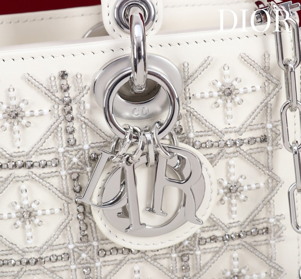 Anum Bags Diorn Luxury Bag --114700