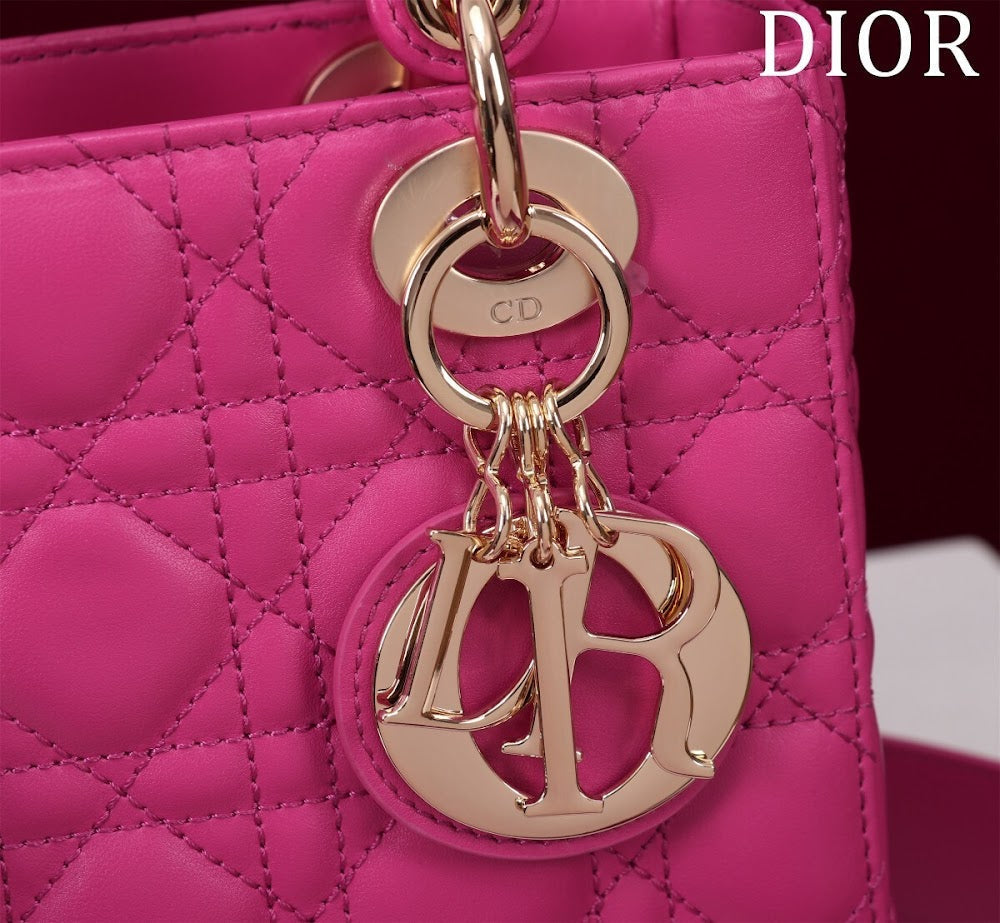 Ezyycart Bags Diorn Luxury Bag --115913