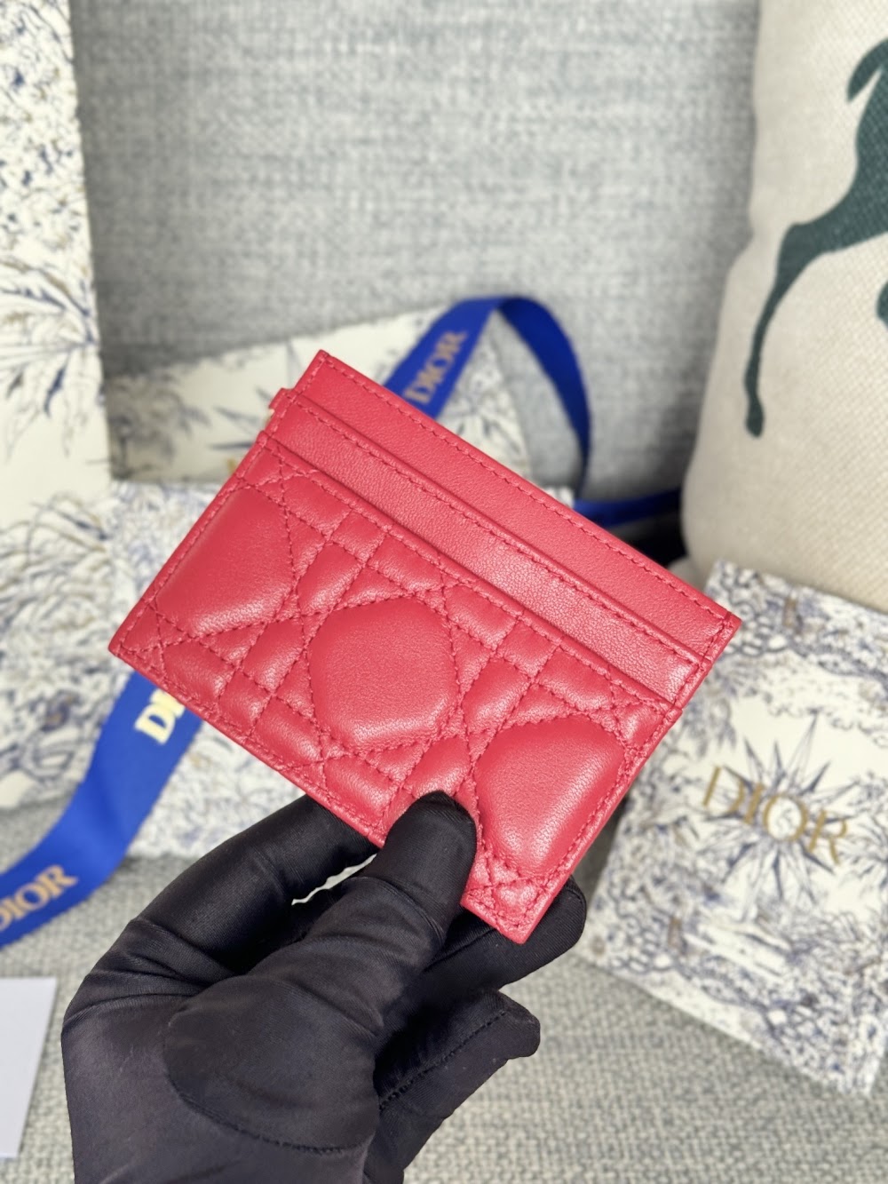 Anum Bags Diorn Luxury Bag --114680
