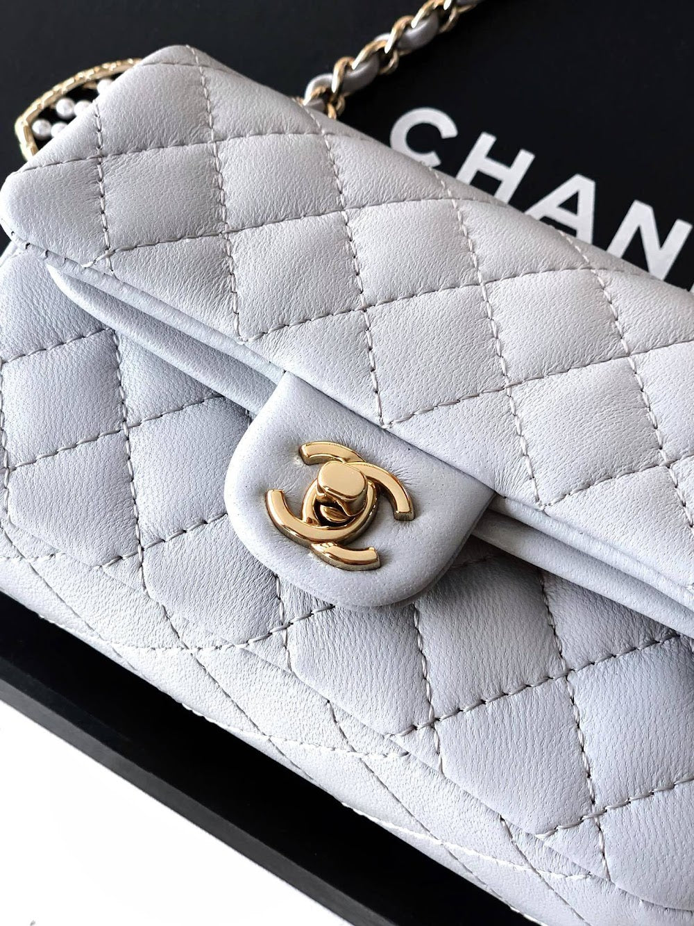 Anum Bags CHn Luxury Bag --112669