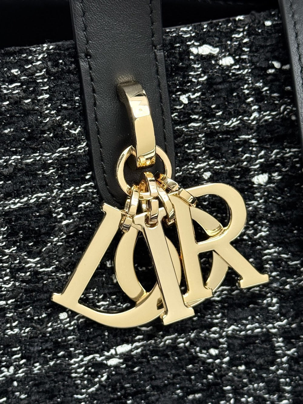 Anum Bags Diorn Luxury Bag --114956