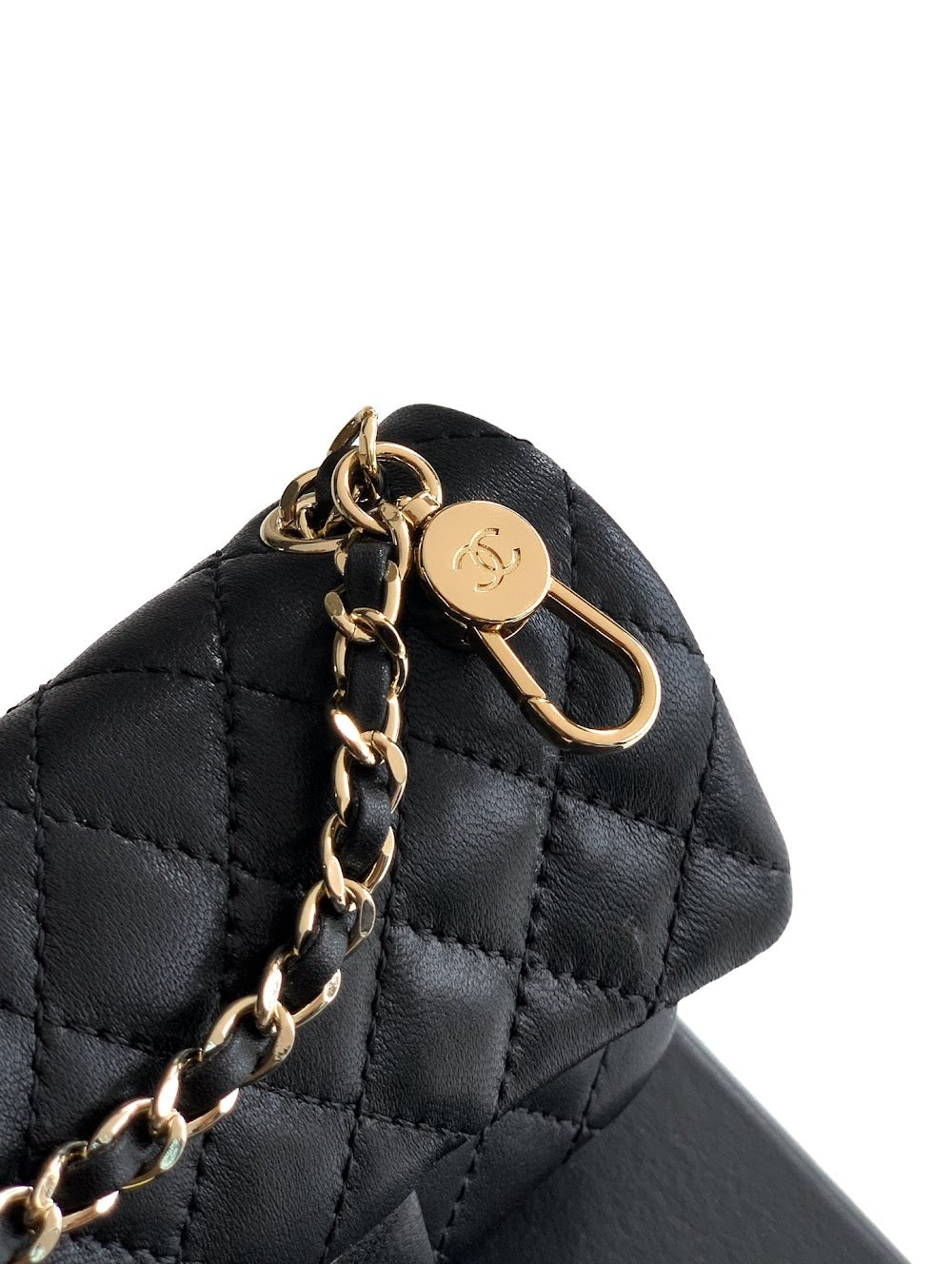 Anum Bags CHn Luxury Bag --112665