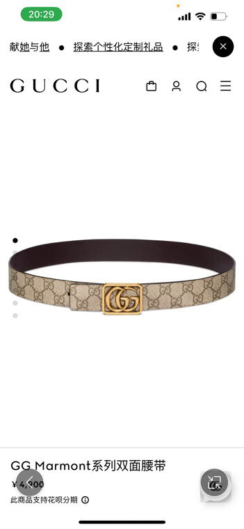 Ezyycart Bags Guccin Luxury Belt --108538