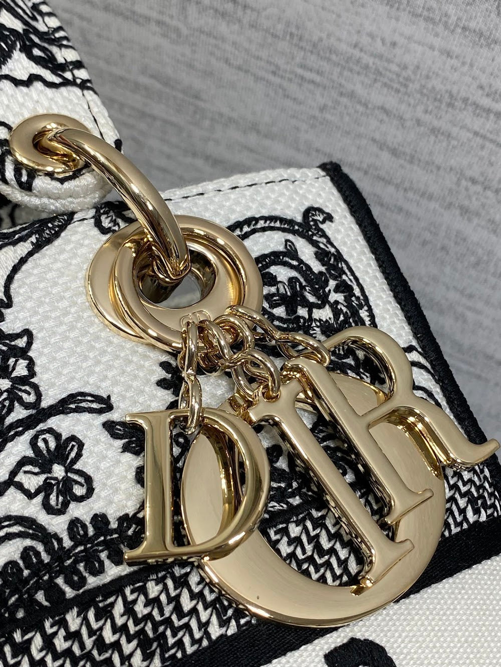 Anum Bags Diorn Luxury Bag --114941