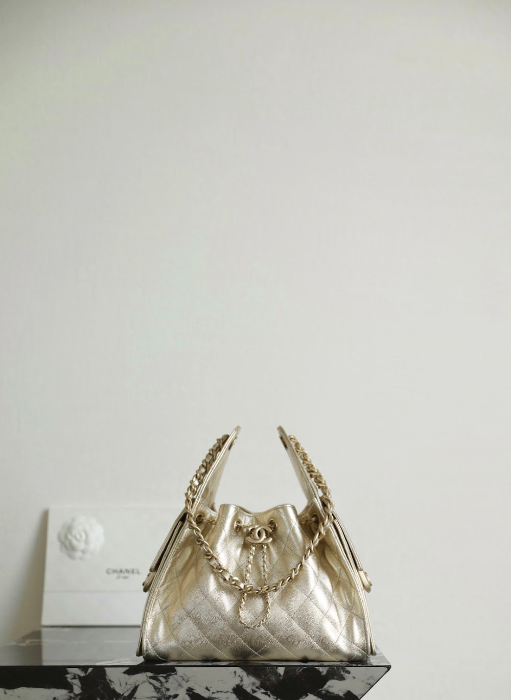 Anum Bags CHn Luxury Bag --113654