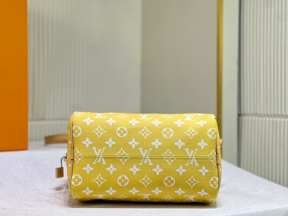 Anum Bags LVn Luxury Bag --80049