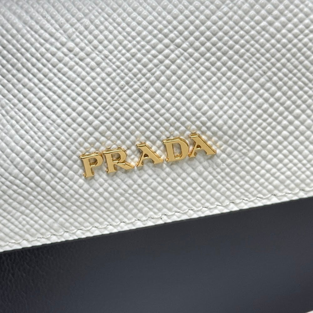 Ezyycart Bags Pradn Luxury Bag --102202