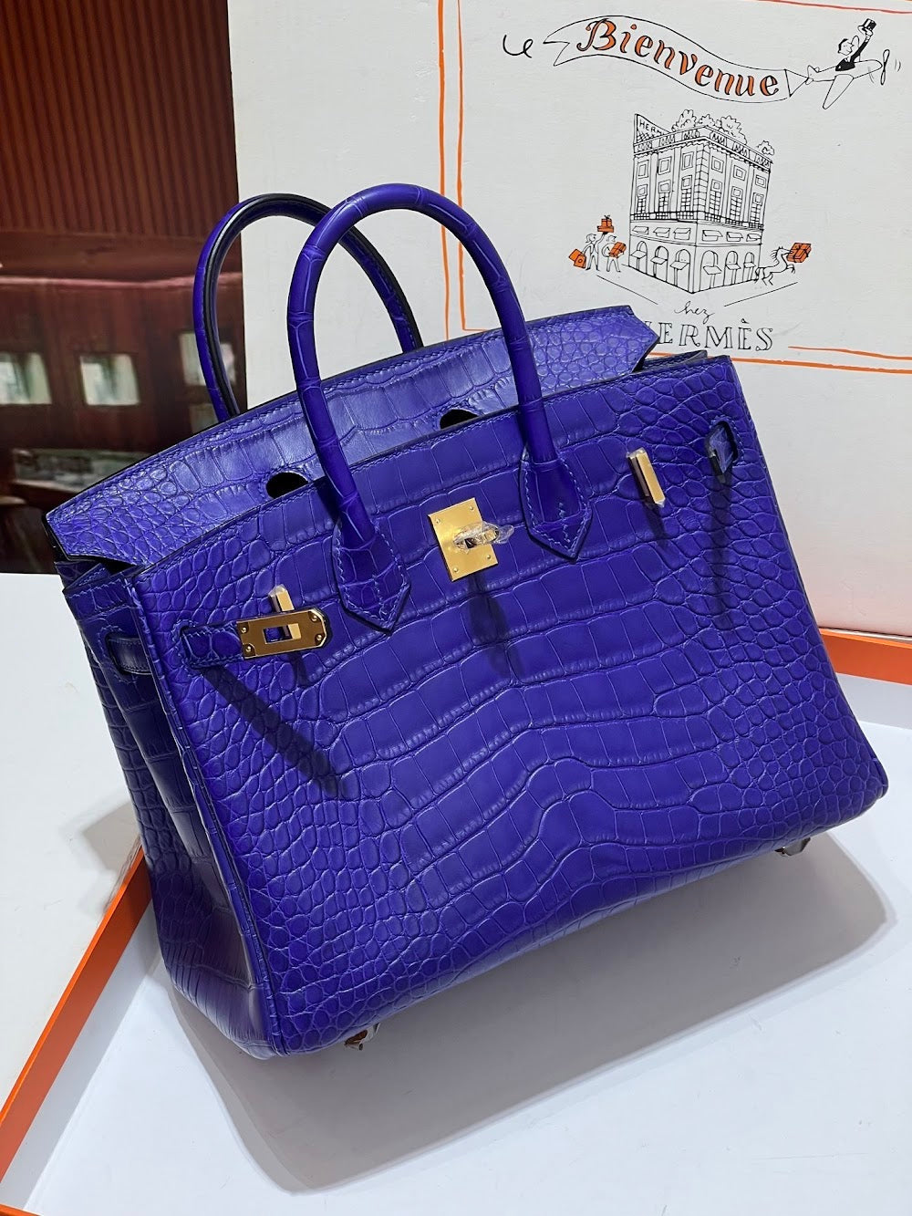 Anum Bags Hermesn Luxury Bag --117148