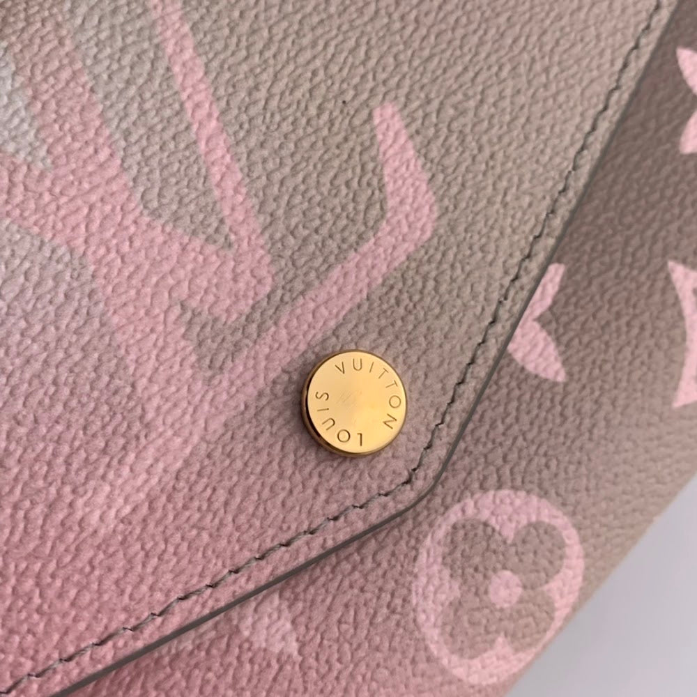 Anum Bags ln Luxury Bag --58663