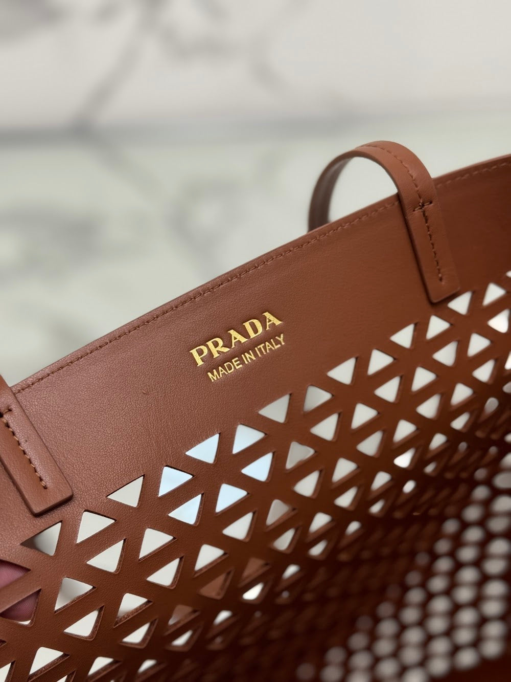 Ezyycart Bags Pradn Luxury Bag --101865