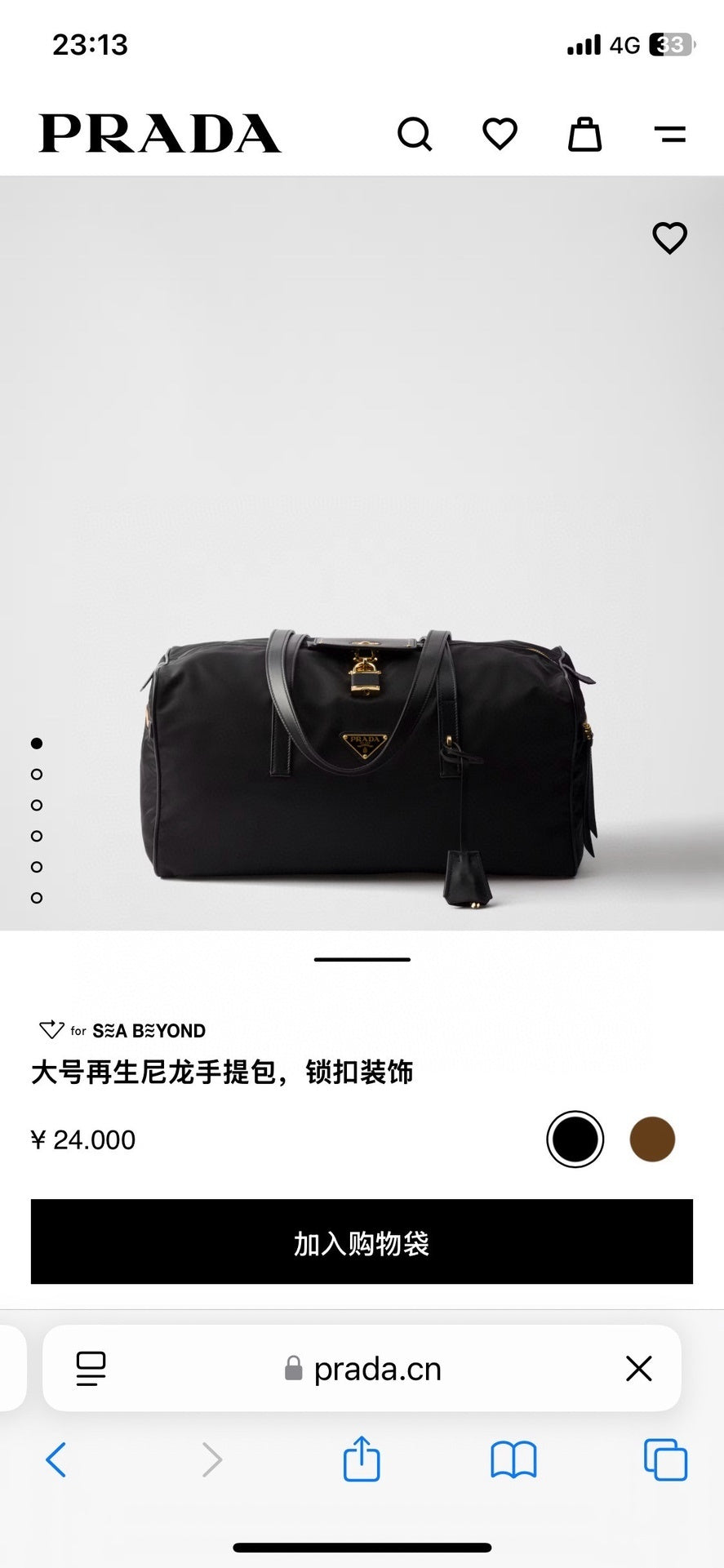 Ezyycart Bags Pradn Luxury Bag --101916