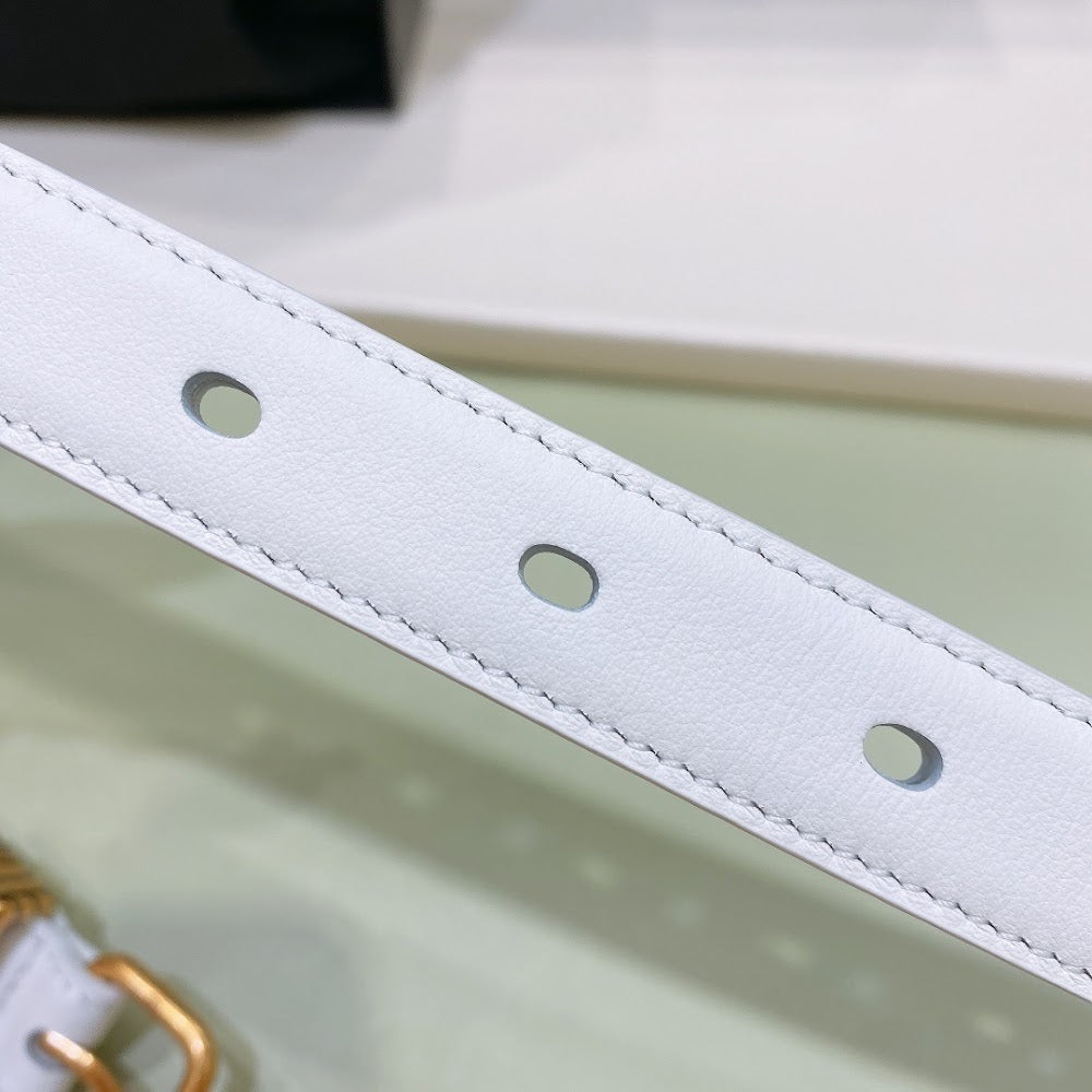 Ezyycart Bags YSLn Luxury Belt --107572