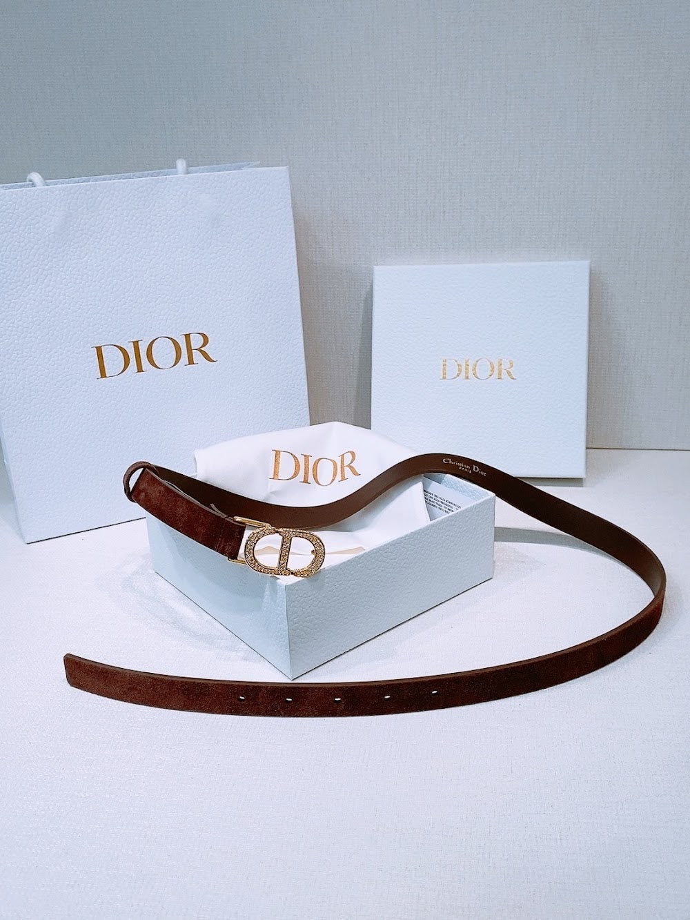 Anum Bags Diorn Luxury Belt --104867