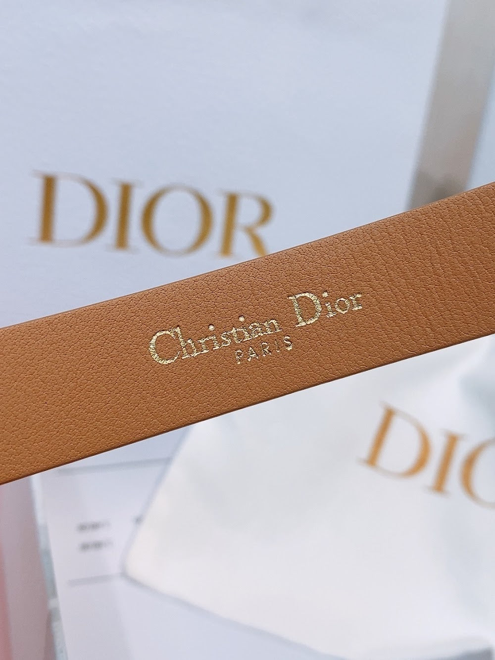 Anum Bags Diorn Luxury Belt --104968