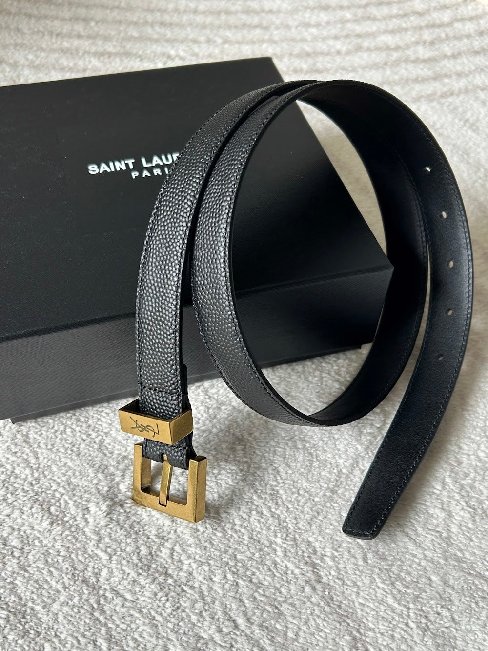 Ezyycart Bags YSLn Luxury Belt --110524