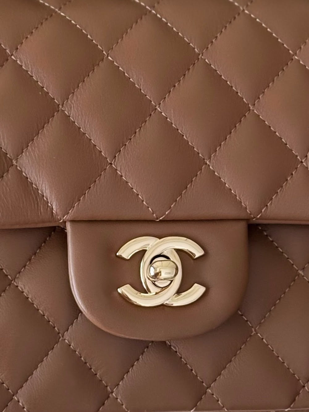 Anum Bags CHn Luxury Bag --112972