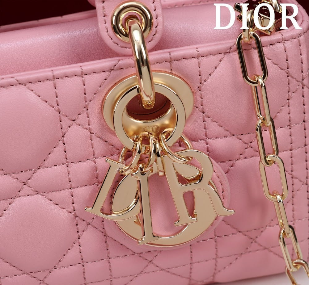 Anum Bags Diorn Luxury Bag --114747