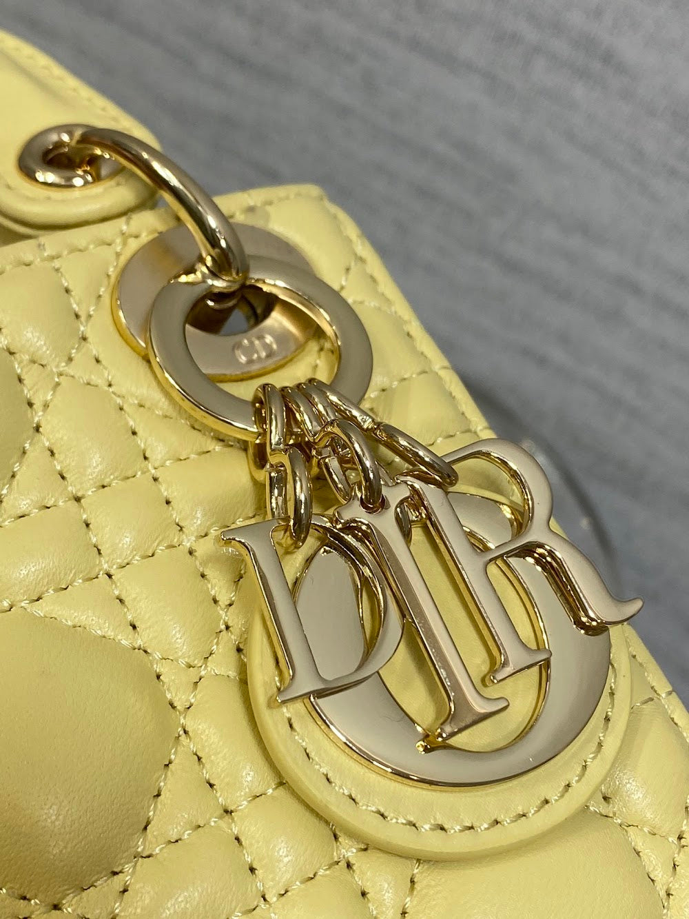 Anum Bags Diorn Luxury Bag --114981
