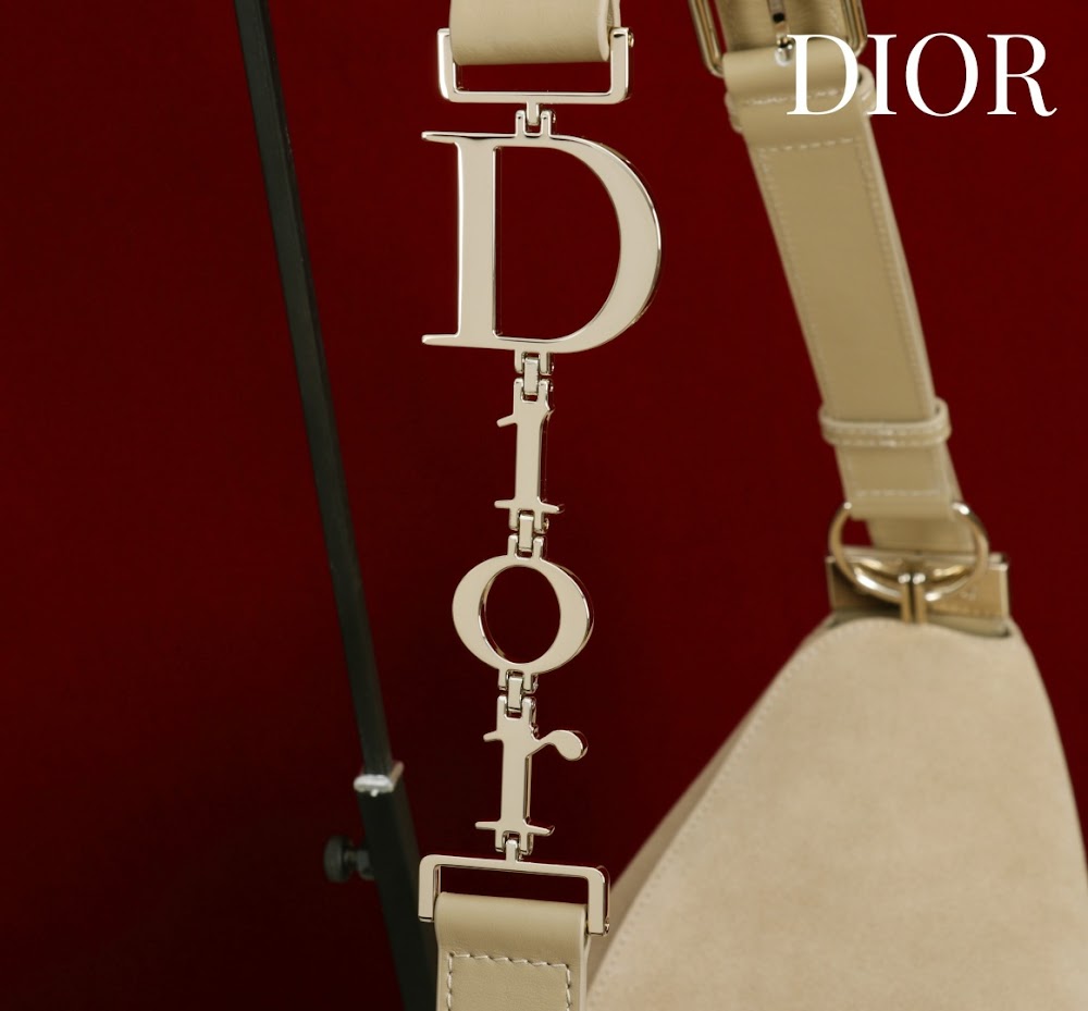 Ezyycart Bags Diorn Luxury Bag --115365