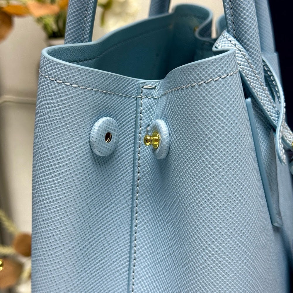 Ezyycart Bags Pradn Luxury Bag --102220