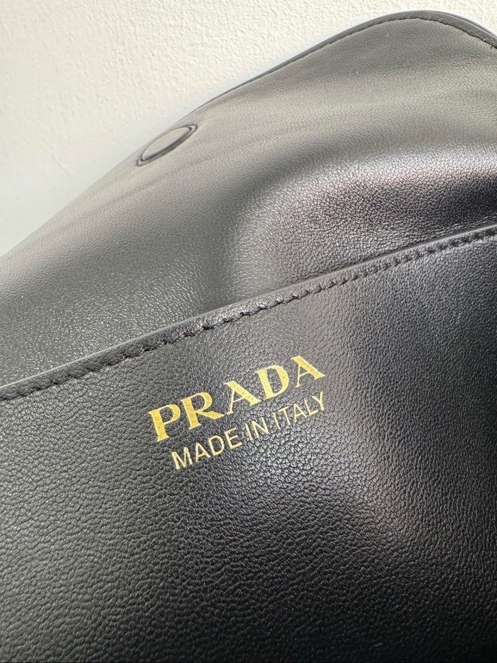 Ezyycart Bags Pradn Luxury Bag --101613