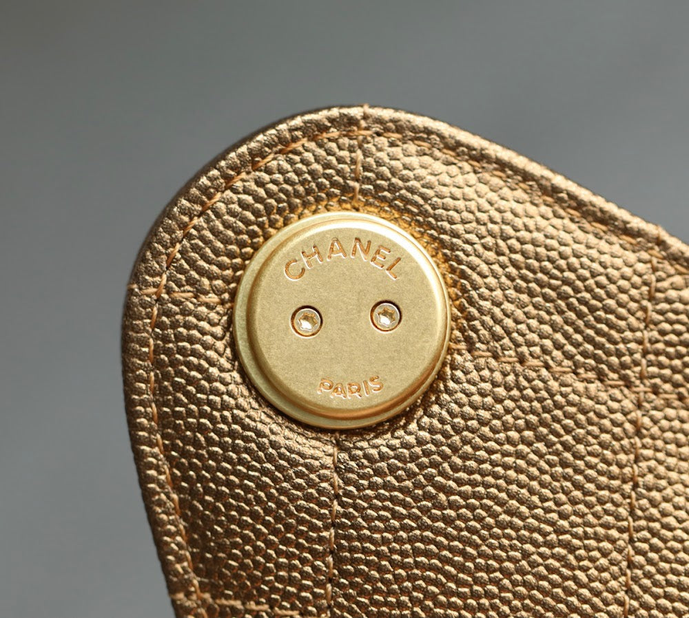 Anum Bags CHn Luxury Bag --113644