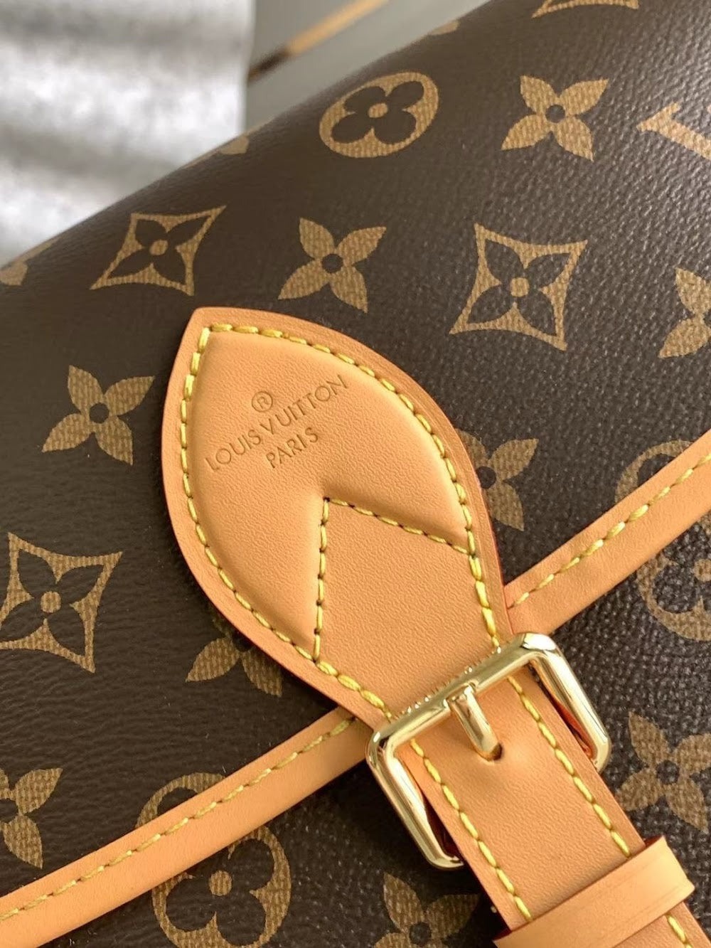 Anum Bags LVn Luxury Bag --79201