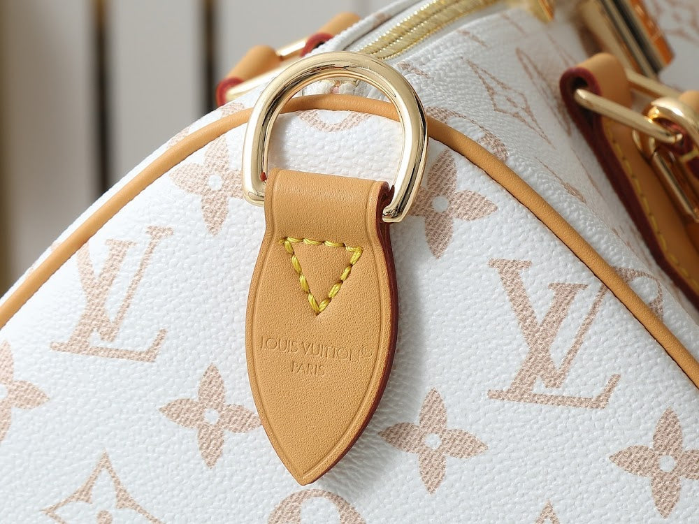Anum Bags LVn Luxury Bag --78871