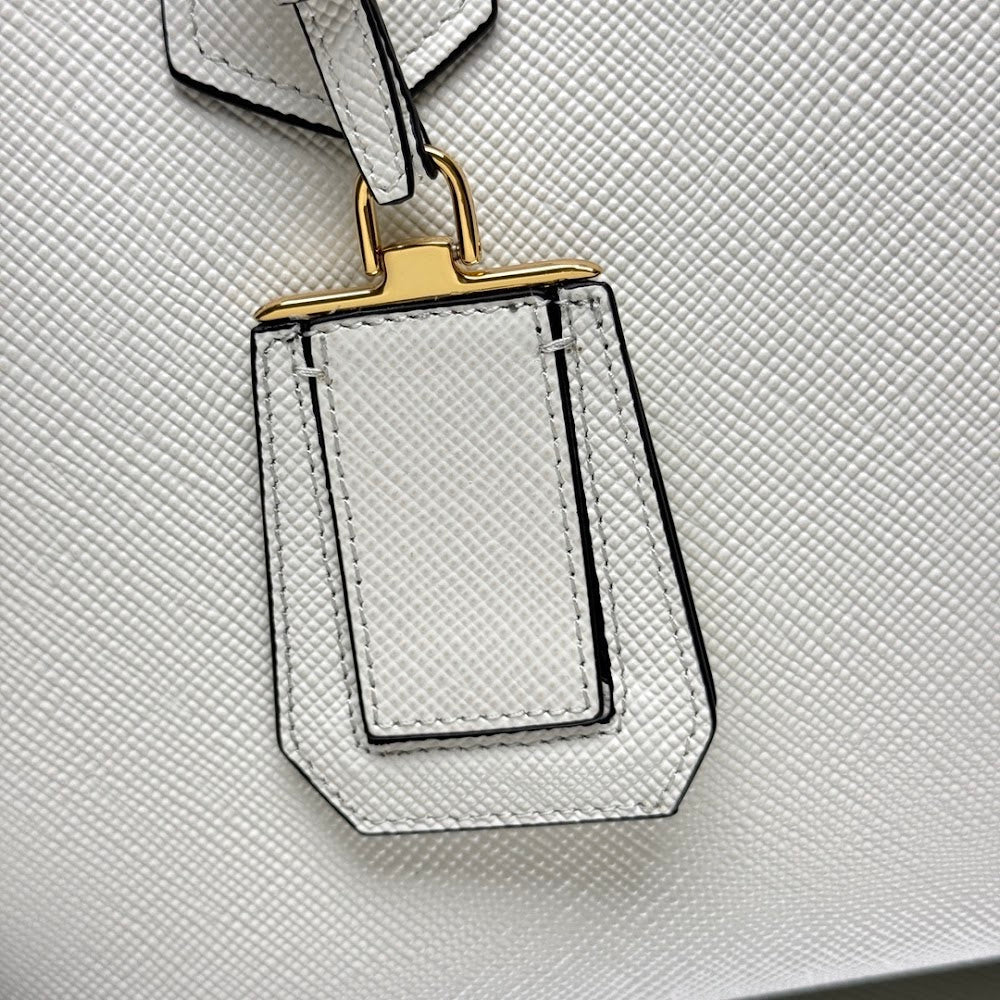 Ezyycart Bags Pradn Luxury Bag --102202