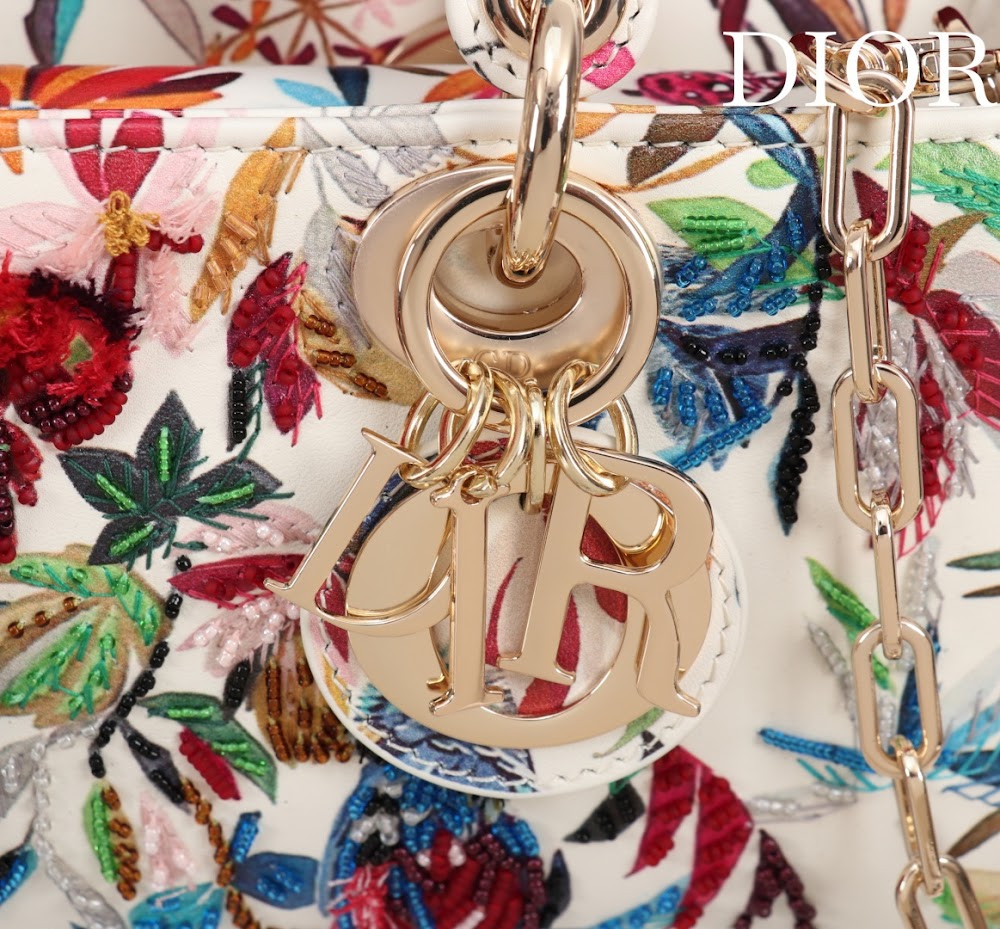 Anum Bags Diorn Luxury Bag --114704