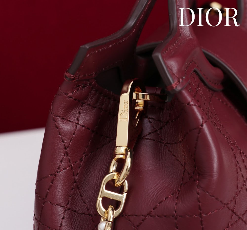 Anum Bags Diorn Luxury Bag --114561