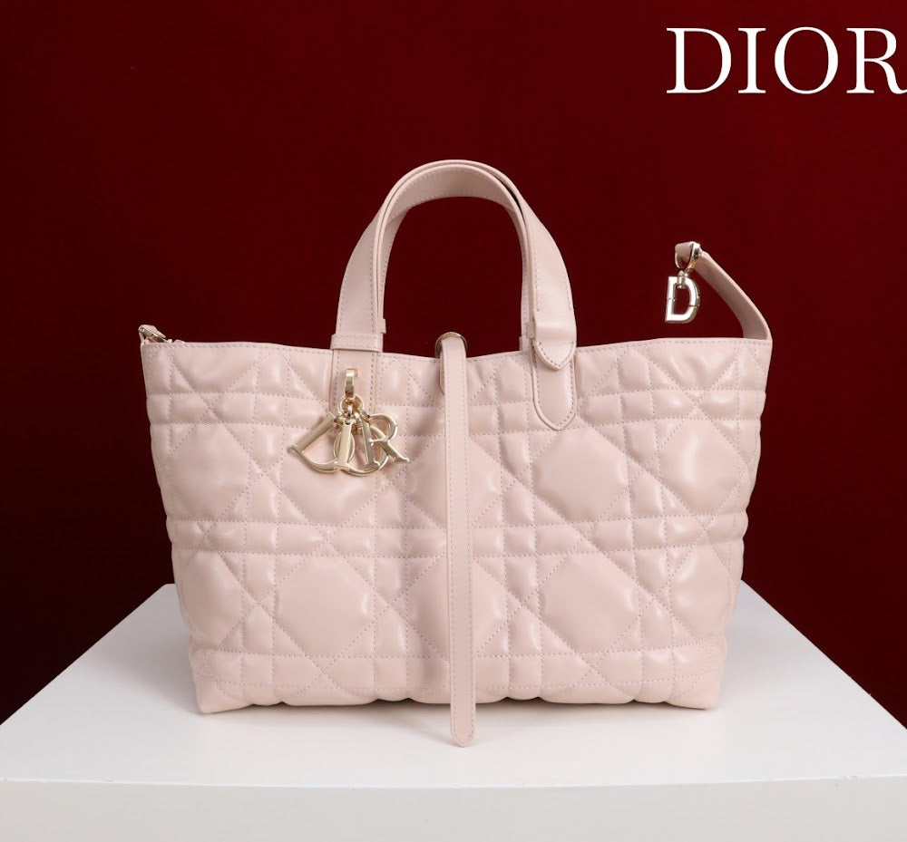 Ezyycart Bags Diorn Luxury Bag --115617