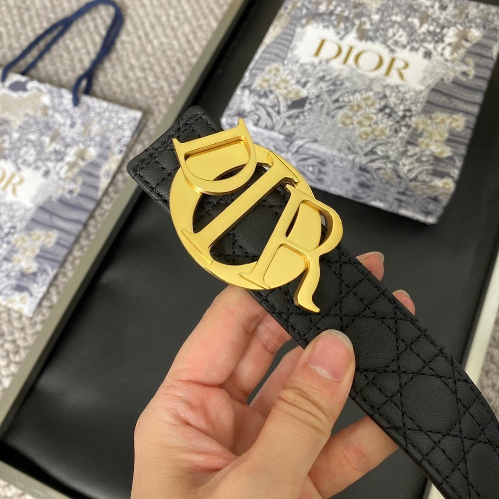 Anum Bags Diorn Luxury Belt --107731