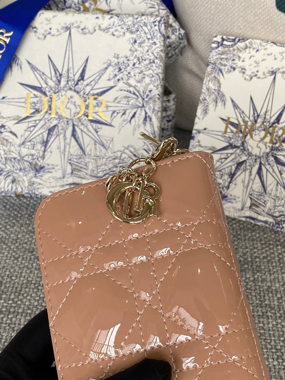 Anum Bags Diorn Luxury Bag --114689