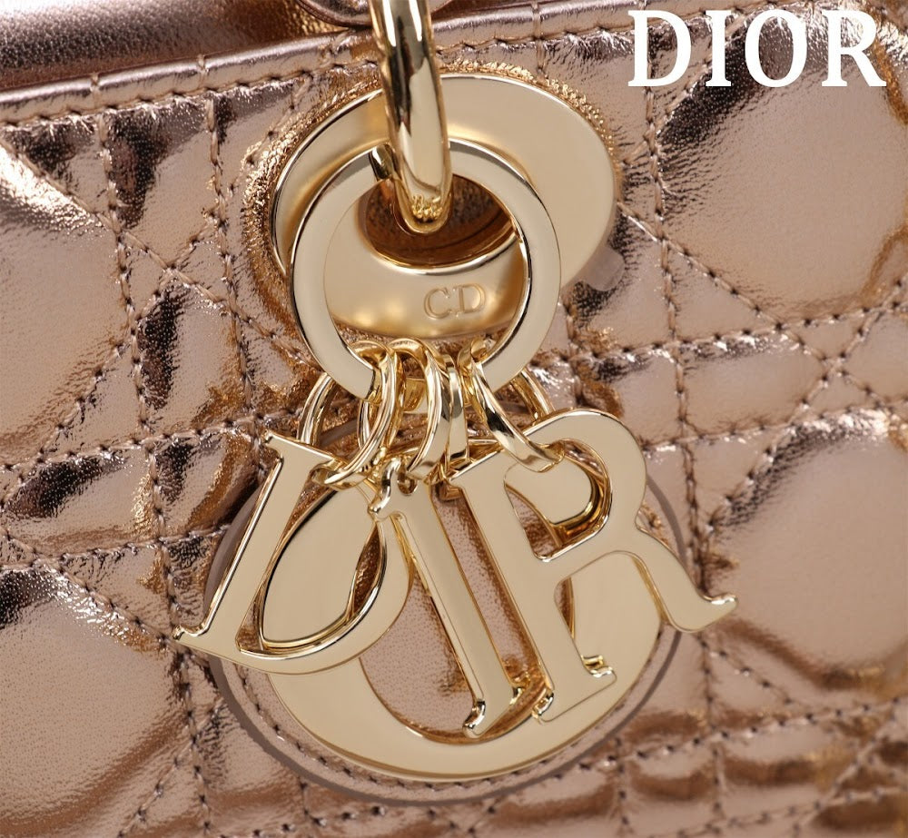 Anum Bags Diorn Luxury Bag --114738