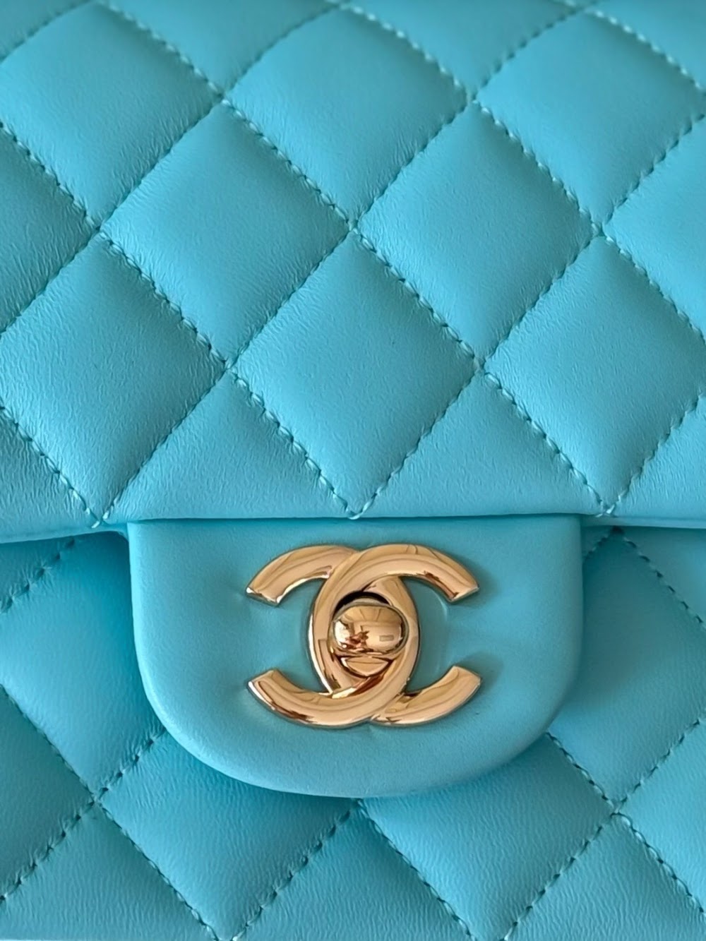 Anum Bags CHn Luxury Bag --112967