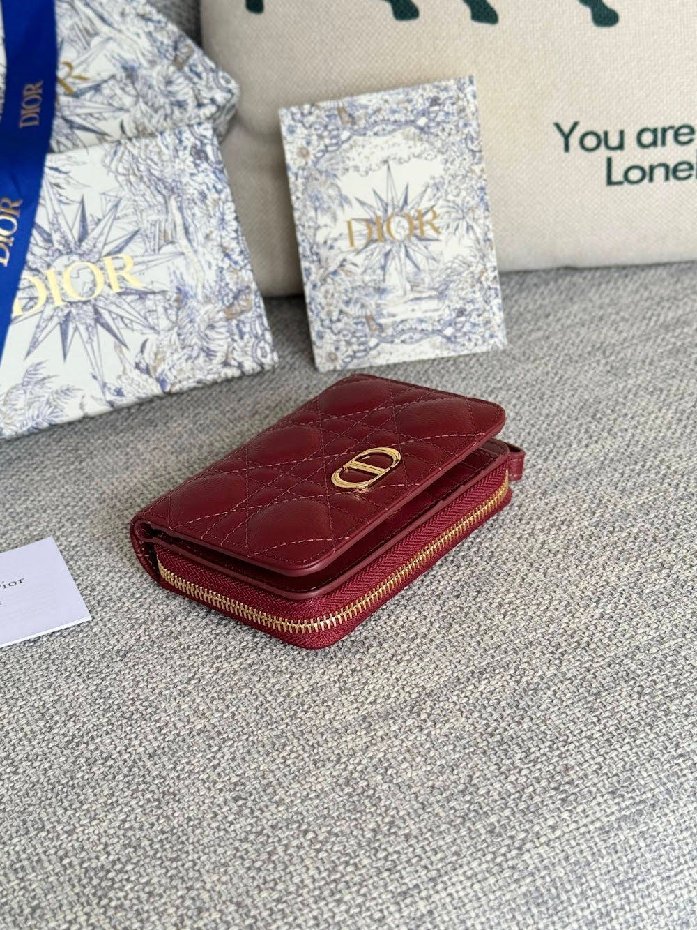 Ezyycart Bags Diorn Luxury Bag --115114