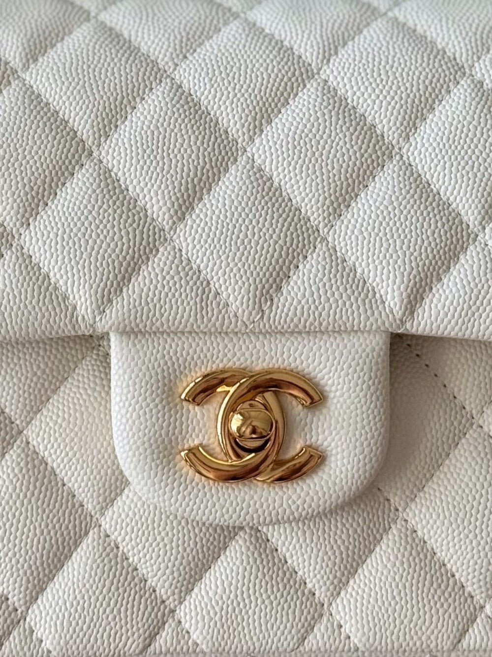 Anum Bags CHn Luxury Bag --112764