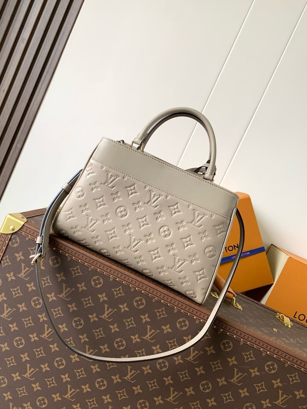 Anum Bags LVn Luxury Bag --79192