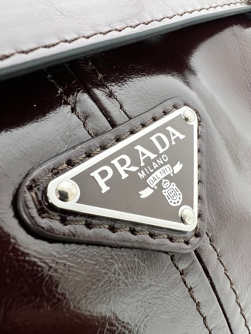 Ezyycart Bags Pradn Luxury Bag --102425