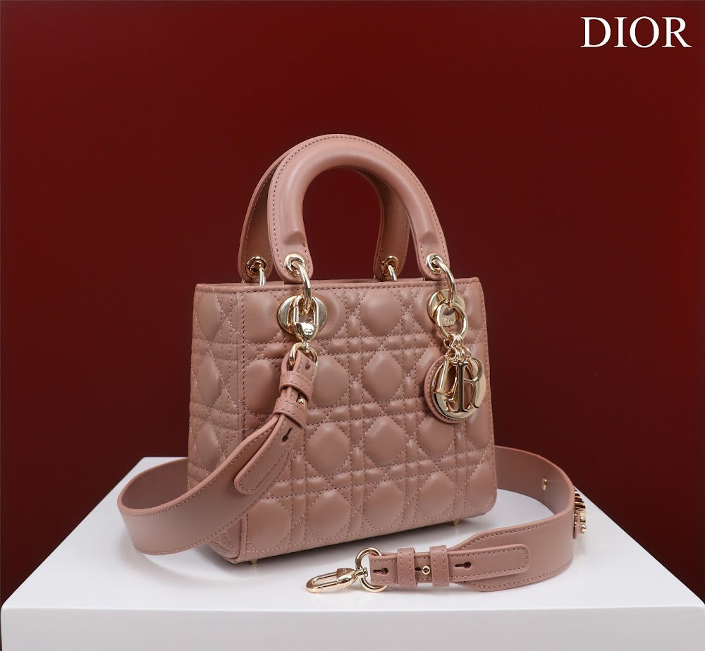 Ezyycart Bags Diorn Luxury Bag --115918