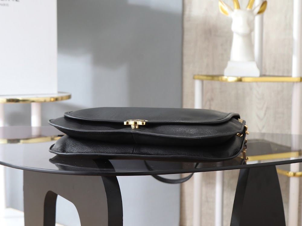 Ezyycart Bags Celine Luxury Bag --112543