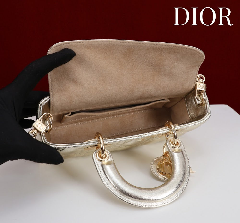 Ezyycart Bags Diorn Luxury Bag --114715