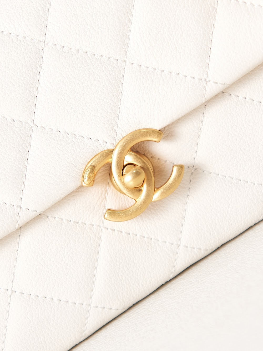 new-luxury-designer-bags-nm10086