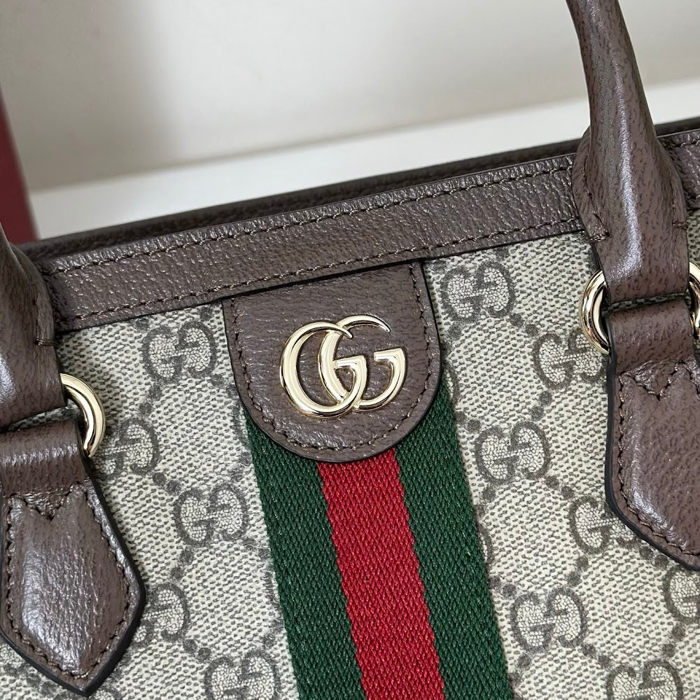 Ezyycart Bags Guccin Luxury Bag --95361