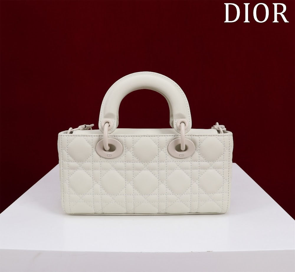Ezyycart Bags Diorn Luxury Bag --114851
