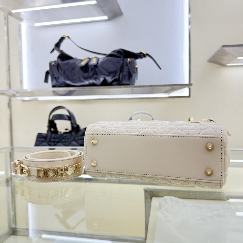 Anum Bags Diorn Luxury Bag --114446