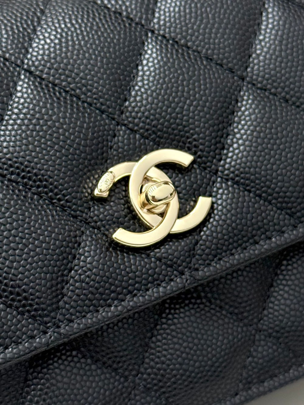 Anum Bags CHn Luxury Bag --113850