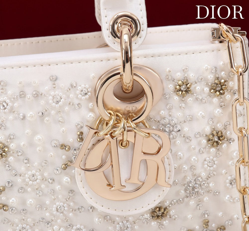 Ezyycart Bags Diorn Luxury Bag --114707